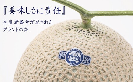 【訳あり】アローマメロン 1玉入【通年出荷】 6241