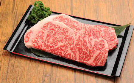 【3ヶ月定期便】 くまもと 黒毛和牛 サーロインステーキ 2kg（250g×8枚） 熊本県 国産 牛肉 サーロイン ステーキ 肉
