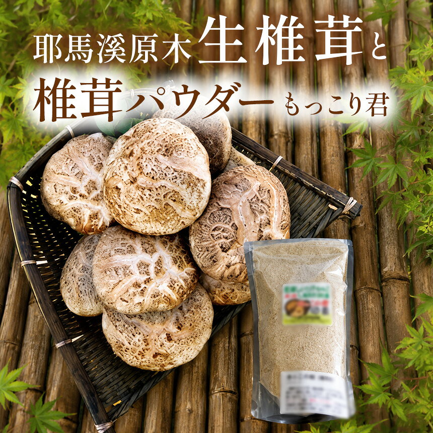 【ふるさと納税】【期間限定】耶馬溪原木生椎茸セット 生椎茸 1kg ・もっこり君（粉末乾し椎茸パウダー）50g | 北曽木農園 乾燥椎茸 乾燥しいたけ 干し椎茸 大分県産 九州産 中津市 国産 送料無料
