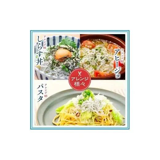定期便10ヶ月しらす1kg 計10kgしらすしらすしらすしらすしらすしらすしらすしらす