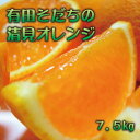 【ふるさと納税】【2025年2月下旬～3月下旬順次発送予定】有田育ちの完熟清見オレンジ(ご家庭用)　約7.5kg