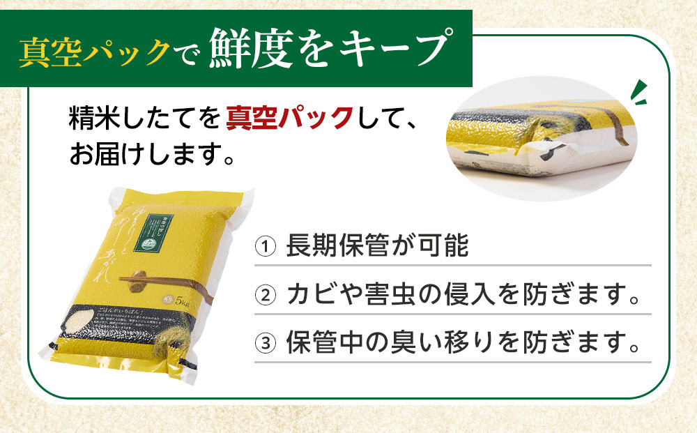ZIP!で紹介！令和7年産　ななつぼし 無洗米 真空パック 5kg×1袋 5kg【 特A 白米 精米 ご飯 ごはん 米 5kg お米 ななつぼし  旭川市ふるさと納税 北海道ふるさと納税 旭川市 北海