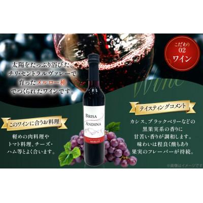 ふるさと納税 韮崎市 ワイン 赤 ブリサ・アンディーナ メルロー 　500ml 12本セット |  | 02