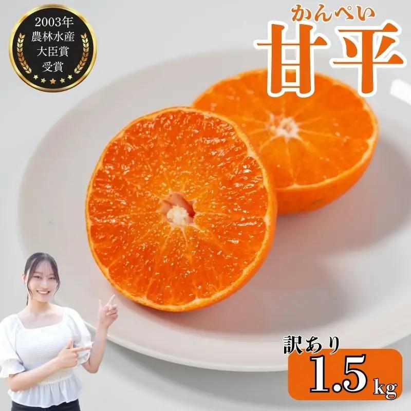 【先行予約】【発送期間:2027年2月～なくなり次第終了】【訳あり】甘平 1.5kg サイズミックス