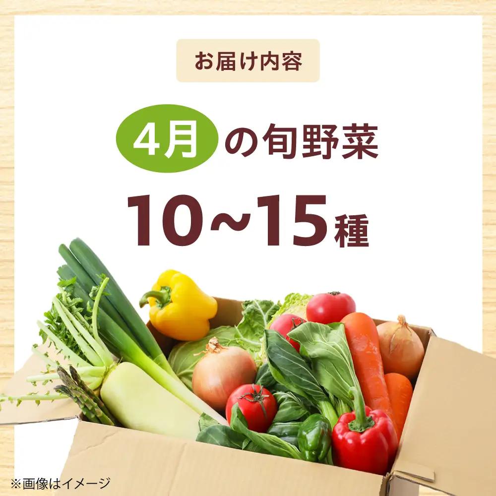 高槻おまかせ野菜詰め合わせセット 4月（10種〜15種）[AOCS010] 野菜セット