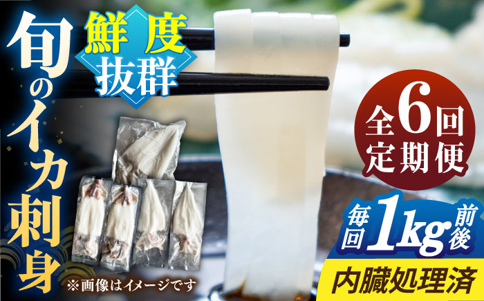 【全6回定期便】旬のイカ刺身1kg前後《壱岐市》【馬渡水産】イカ いか 烏賊 剣先 アオリ あおり スルメ するめ 刺身 刺し身 お刺身 海鮮 魚貝 冷凍配送 産地直送 [JAQ032]