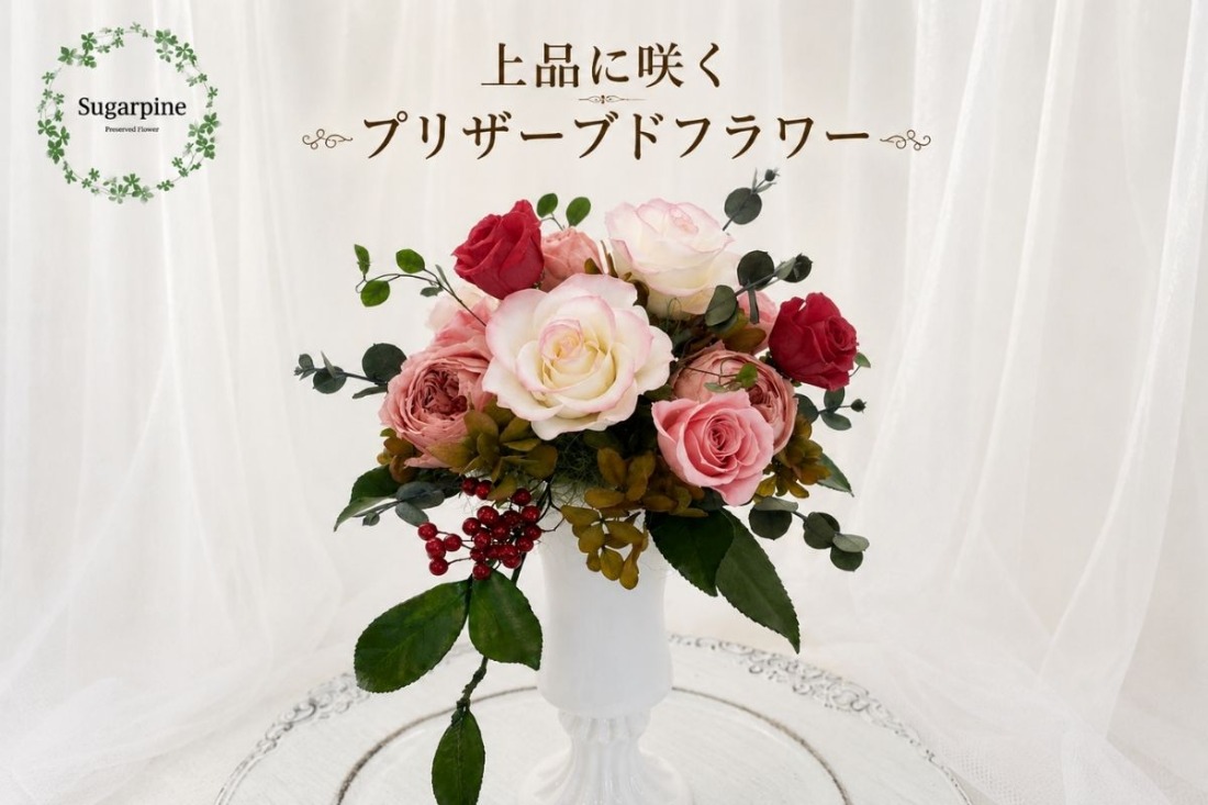 プリザーブドフラワー【カルム】【埼玉県 春日部市 シュガーパイン ナチュラルアレンジ インテリア雑貨 花飾り 癒し ギフト プレゼント】(AJ023-2)