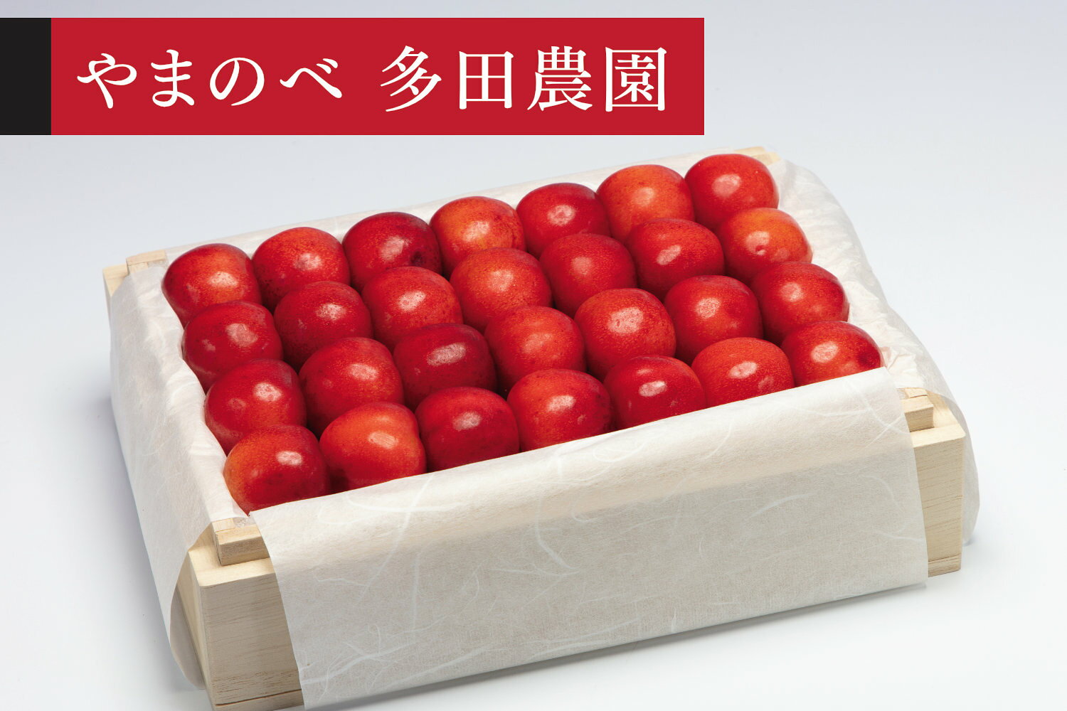 【ふるさと納税】《先行予約》2027年 山形県産 やまがた紅王 特選桐箱詰約500g やまのべ多田耕太郎のさくらんぼ 送料無料 tn-ybxxk500