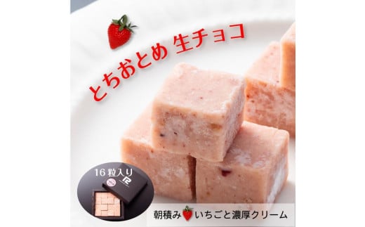 【ふるさと納税】 とちおとめ 生チョコレート（16粒入り） 栃木 とちぎ産 いちご イチゴ 苺 スイーツ 通販 お取り寄せ