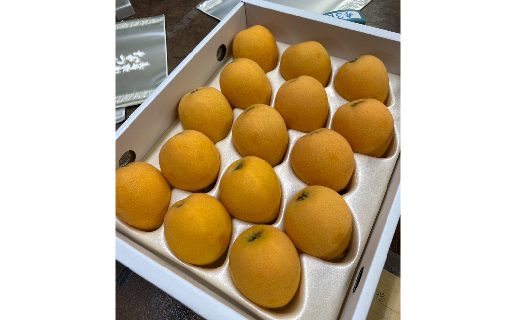 先行予約 枇杷「なつたより」1kg ／ 果物 くだもの フルーツ ビワ びわ 長崎県 長崎市 オンライン決済限定 【2026年5月上旬～下旬迄発送予定】