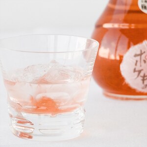 梅酒 ホーホケキョ 辛口 500ml 1本 梅 梅酒 梅酒 梅酒