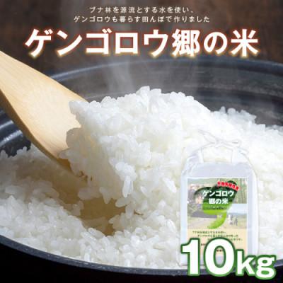 ふるさと納税 京丹後市 2025年産 京丹後産生物多様性米コシヒカリ「ゲンゴロウ郷の米」10kg箱入 おいしいお米
