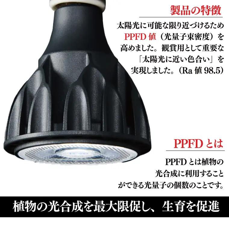 BN021-1　電球タイプの定番モデル10個セット。あらゆる植物・野菜・果樹にオールマイティーに使用できます。「ヘリオスグリーンLED (ブラック)」