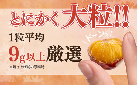 【先行予約】天津甘栗 4kg / 甘栗