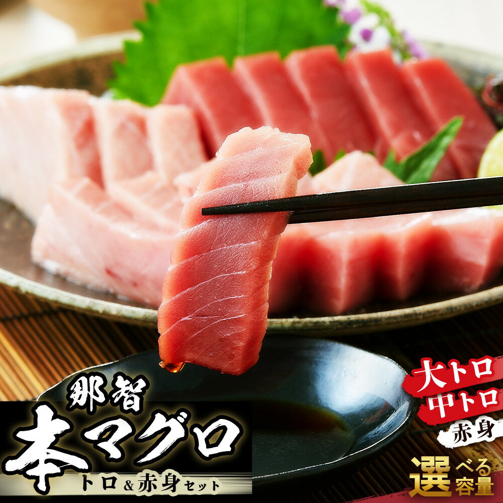 【ふるさと納税】本マグロ トロ+赤身セット 500g or 1kg 大トロ 中トロ 鮪 刺身 寿司 お正月 | 本マグロ 海鮮 魚介 大トロ 中トロ 赤身 人気 おすすめ グルメ 刺身 寿司 お正月 年末年始 お取り寄せ 送料無料 ふるさと納税