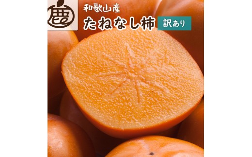 ［先行予約］家庭用 たねなし柿 約5kg［訳あり］［刀根早生・平核無柿（ひらたねなしかき）］［カキ・種無柿・種無し柿・種なし柿・無核柿］［IKE319］