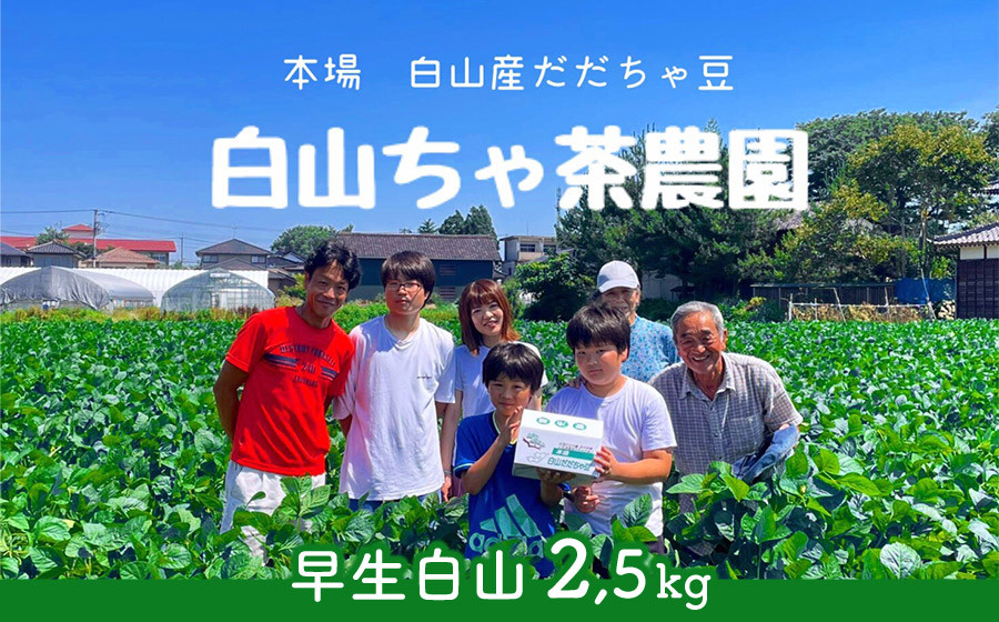 
【令和7年産先行予約】山形セレクション認定　だだちゃ豆 「早生白山」 2.5kg（500g×5袋）　白山ちゃ茶農園　K-761
