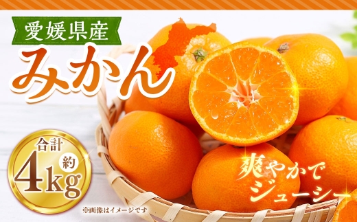 みかん 約4kg ミカン くだもの 果物 フルーツ 柑橘 柑橘系 柑橘類 果実 果汁 果肉 国産 【 2026年11月上旬～12月下旬発送予定 】 ( 1119 )