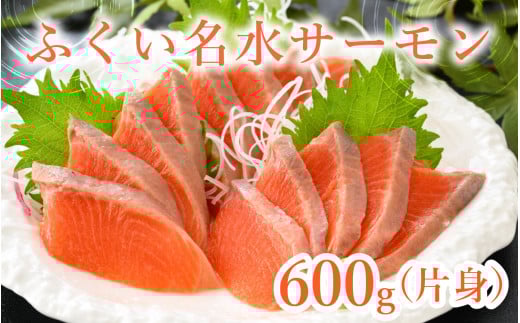 【希少】福井県大野市産 ふくい名水サーモン 片身 約600g（生食・加熱用）真空冷凍 [A-014010]