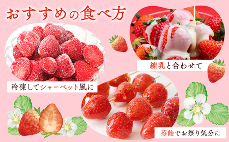 いちご 神石イチゴファームの苺 神の苺 9粒 約360g  I-temホールディングス株式会社《12月中旬-3月末頃出荷》いちご イチゴ 苺 フルーツ 果物 送料無料