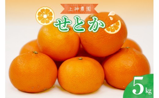 【先行受付】 【2027年2月初旬～発送】 上神農園の広島県産 せとか 約5kg みかん オレンジ ジューシー 上神農園 広島県 呉市 広島 呉 ku011-009-26