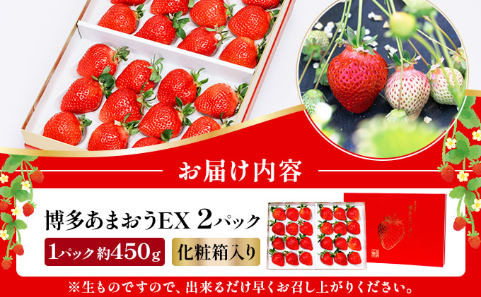 【先行予約】博多あまおうEX 2パック（約450g×2パック）【AG014】