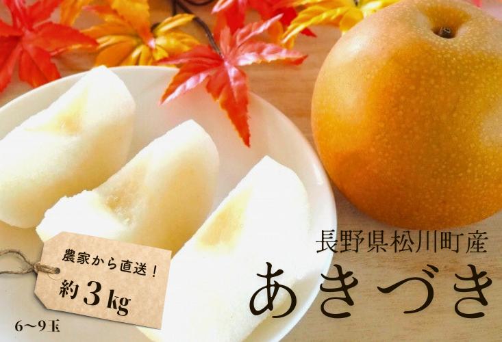 
            KW10-25A 梨 あきづき 約3kg（6～9玉） 松川町産 贈答 ／9月下旬頃〜発送予定 // 長野県 南信州 松川町 和梨 梨 なし ナシ 約3㎏ あきづき 産地直送 農家直送 農家支援 果物 フルーツ
          