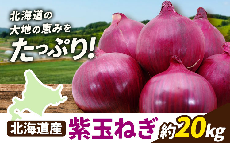 野菜 紫玉ねぎ 20kg B&T TRADING株式会社《30日以内に出荷予定(土日祝除く)》北海道 日高町 玉ねぎ 紫玉ねぎ 赤玉ねぎ 北海道産 国産 野菜 大容量 家庭用 常備野菜 サラダ カレー スープ 煮物 炒め物 甘み 新鮮