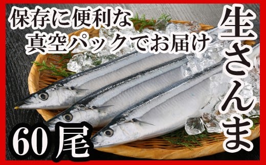 
            D-30002 【12月22日決済分まで年内配送】 【北海道根室産】さんま60尾
          