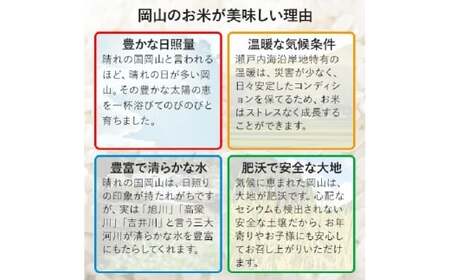 【令和7年産】 にこまる 5kg 精米 【2026年8月下旬まで発送予定】5kg×1袋 お米 米 コメ ご飯 ごはん ゴハン 白ご飯 白米 1袋 モチモチ ツヤツヤ