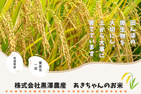 《令和7年産》【玄米】栗原市産 だて正夢 30kg （30kg×1袋） ブランド米 黒澤農産 宮城県 栗原市