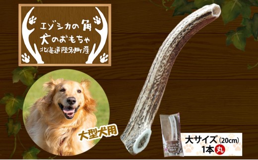 
                  りくべつ エゾシカの角 犬のおもちゃ 丸 大サイズ(約20cm) 1本 犬 おもちゃ 北海道 陸別町
                