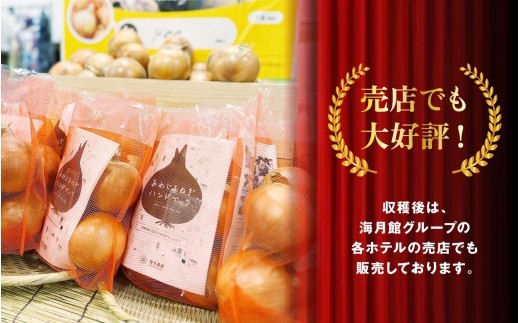 海月館 自社農場栽培！淡路島産 玉ねぎ
