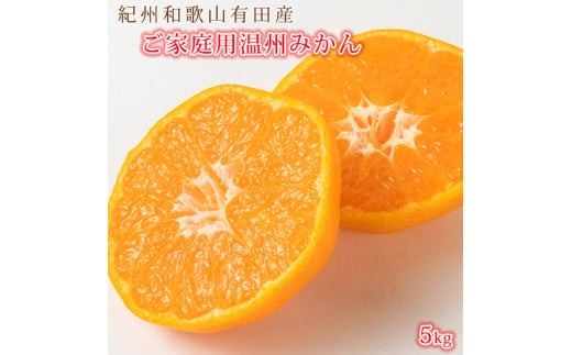 
                  【先行予約】紀州有田産 濃厚完熟 温州みかん 5kg 【家庭用 訳あり】 ※2025年11月下旬頃～2026年1月下旬頃に順次発送予定 / みかん ミカン 蜜柑 温州みかん 柑橘 フルーツ 果物 くだもの 和歌山【uot003A】
                