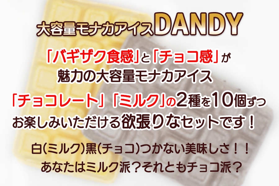 フタバ食品　アイス20個　ダンディーチョコレート＆バニラセット　2種類各10個
