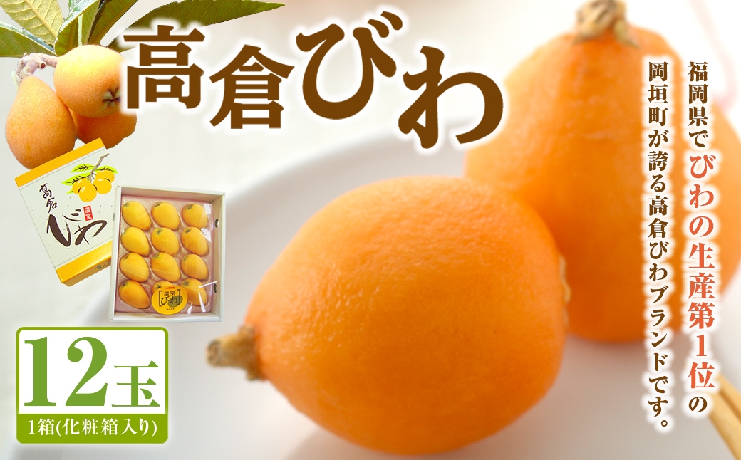 
                  高倉びわ 化粧箱 （ 12玉入り ） 1箱 びわ ビワ フルーツ 果物 くだもの 【 先行予約 】【2026年5月上旬～6月上旬発送予定】
                