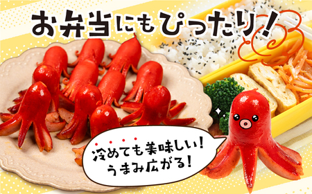 赤ウインナー 計2kg 500g×4 パリっと食感 ジューシー 国産 10000円 大容量 訳あり 高品質 おかず 毎日の食卓に お弁当 デコ弁 晩酌 飾りウインナー ソーセージ ウィンナー焼いても