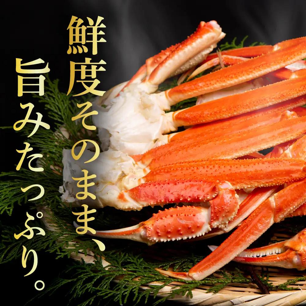 ずわいがに（脚肉） 約2kg