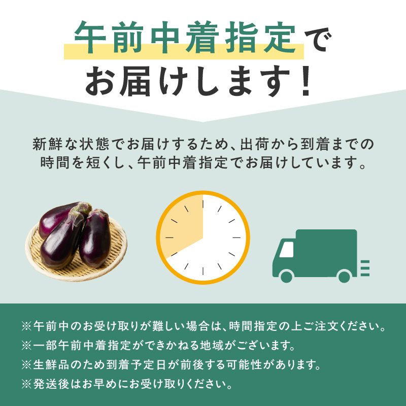 まるやま農園 泉州水なす ぬか漬け 毎月4個 6回定期便 最初の月+1個【087B-096】