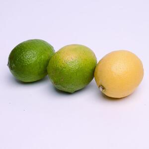 家庭用 レモン5kg+250g（傷み補償分）【和歌山有田産】【防腐剤・WAX不使用、安心の国産レモン】【わけあり・訳ありレモン】［IKE126］