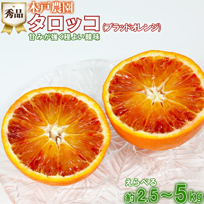 【ふるさと納税】木戸農園のタロッコ（ブラッドオレンジ）約2.5〜5kg（秀品） 先行予約 果物 フルーツ＜113-703_6＞