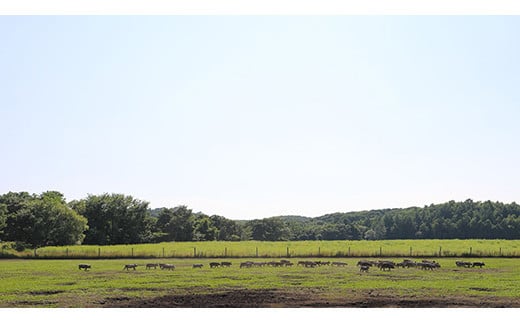放牧豚使用のとんかつ店「こな雪とんとん」お食事券 3,000円分【45001】