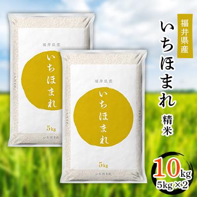 ふるさと納税 勝山市 【令和7年度産】福井県産　いちほまれ(5kg×2)