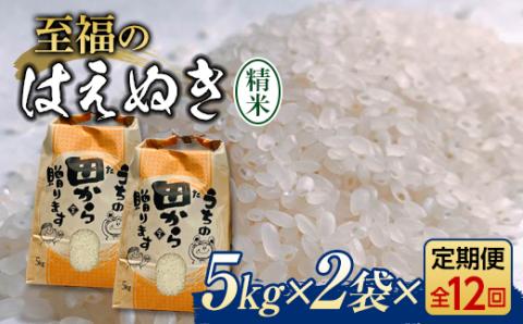 『定期便』令和5年産米 至福のはえぬき（精米）5kg×2袋 全12回 米 お米 おこめ 山形県 新庄市 F3S-1608