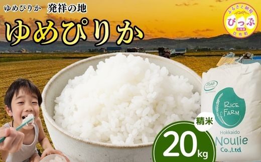 
            令和7年産 ゆめぴりか 精米 20kg 発送時期が選べる【農業生産法人ノウリエ】米 お米 北海道米 特Aランク 国産 白米 コメ 北海道 比布町 ぴっぷ 1017-007
          
