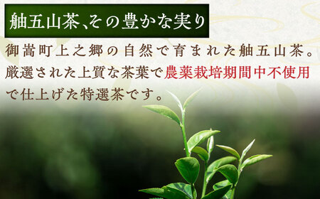 舳五山茶　特選1000ｇ / 緑茶 茶葉 茶ば お茶 茶摘み / 御嵩町 / 舳五山茶園委員会[AVAD008]