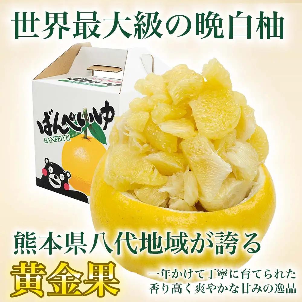 【先行予約】晩白柚 ばんぺいゆ Lサイズ 3玉 約4.5kg 晩白柚 柑橘 【2026年12月上旬より順次発送】