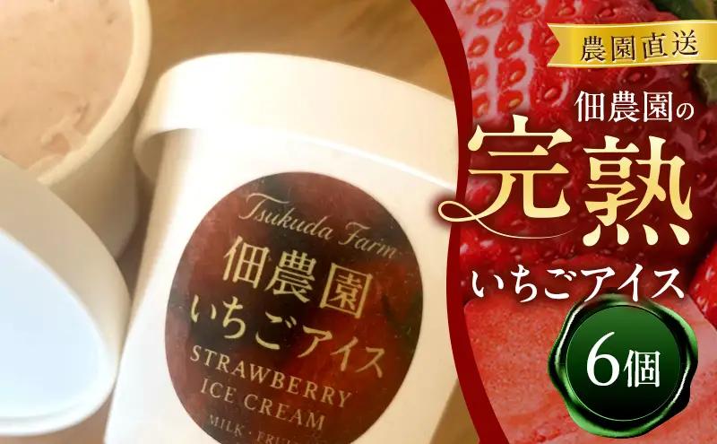 いちごアイス 佃農園 完熟 いちごアイス【6個】【冷凍】