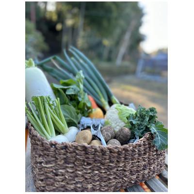 ふるさと納税 香取市 栽培期間中、農薬不使用季節のお野菜セット　9種程度 (目安3〜4人家族用)