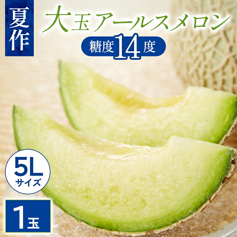 【ふるさと納税】大玉アールスメロン 1玉 5Lサイズ 果物 フルーツ メロン 夏作 季節限定 期間限定 特産品 お取り寄せ グルメ
